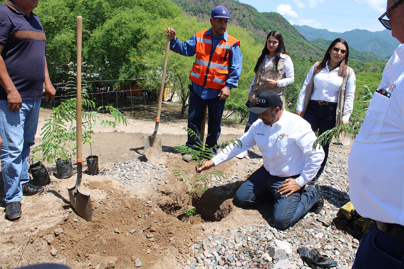 The Oroco team and community participants planting native trees as part of the Sembrando Vida partnership.